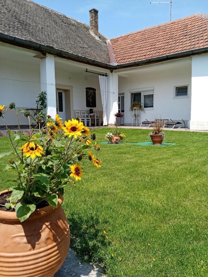 Apartman Katarina Backi Monostor Zewnętrze zdjęcie