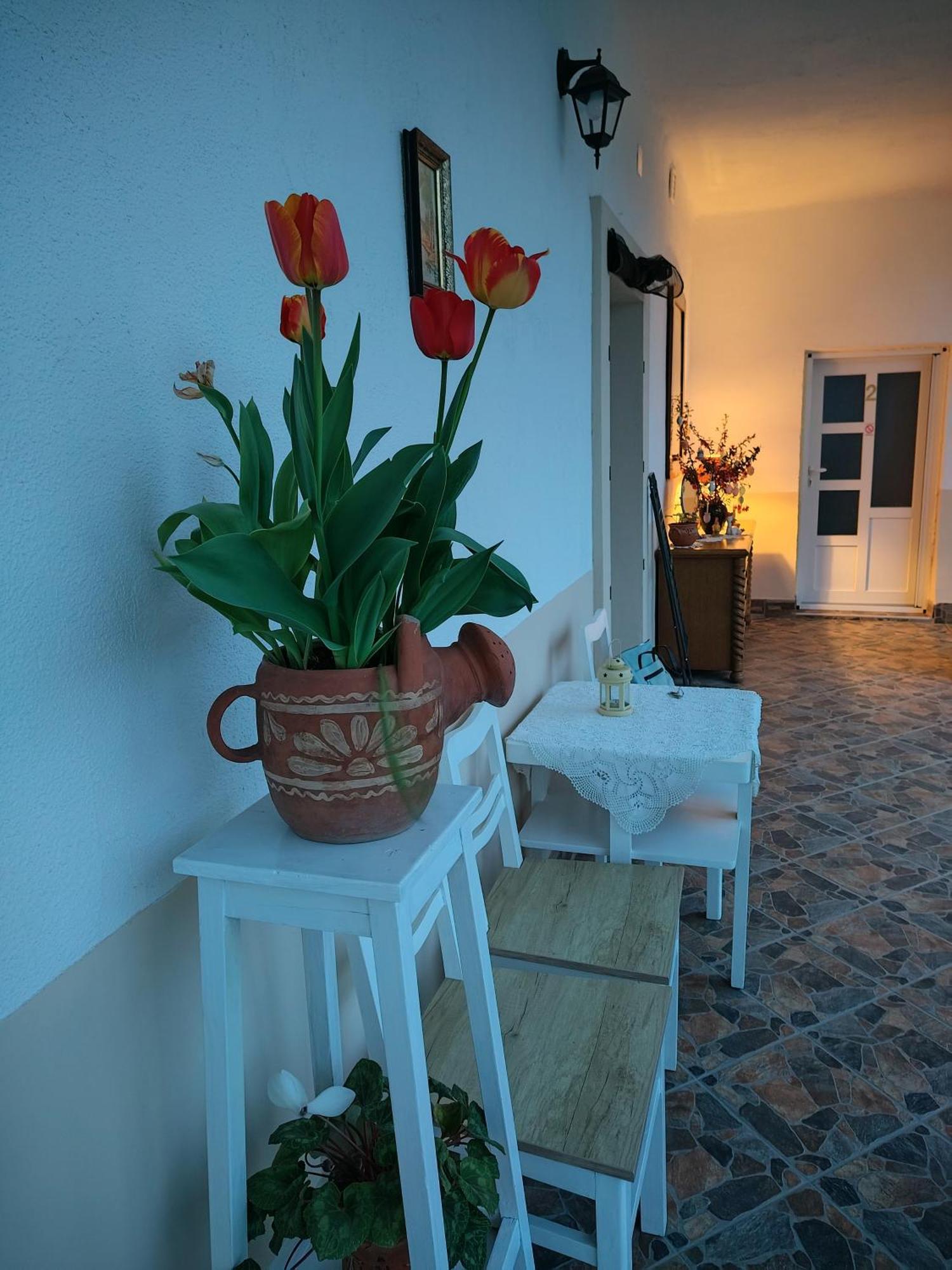 Apartman Katarina Backi Monostor Zewnętrze zdjęcie